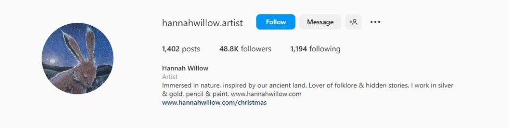 Example of a good Artist Bio for Instagram